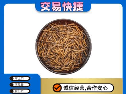 重庆礼品回收虫草.jpg